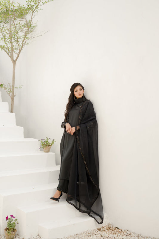 Laylah Black  EMBROIDERED SILK SHIRT WITH PANT